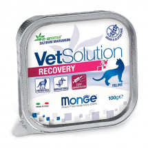Monge VetSolution Cat Recovery диета для кошек Рекавери, ламистер 100 г - ЗООВЕТЦЕНТР